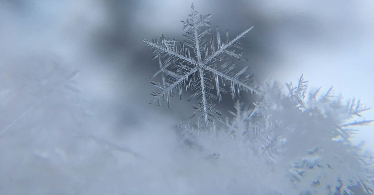 You Want The Original Snowflake Test?  Here It Is