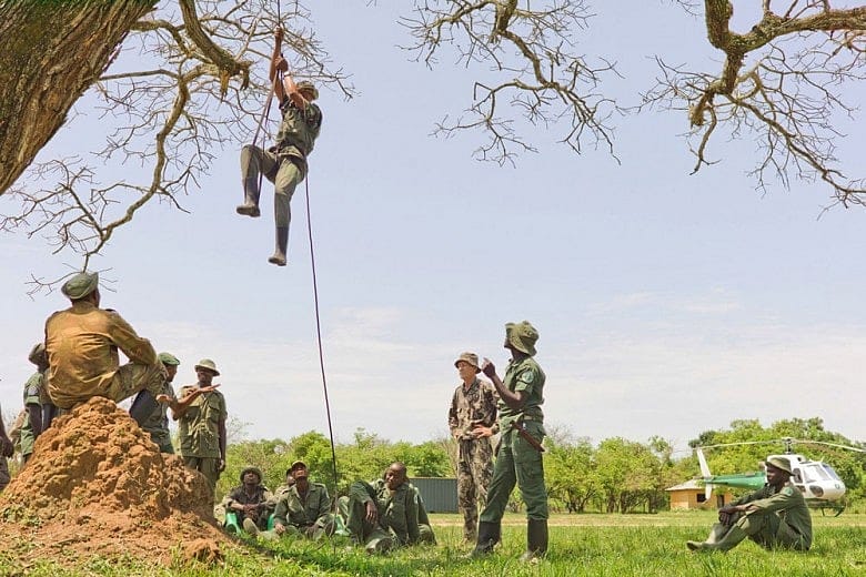 Armed groups target elephants in Congo park