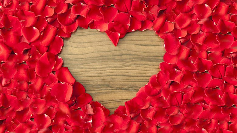 A brief history of sex – with no pictures