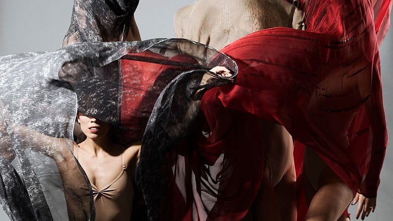 Dancers access artistic freedom in Cirio Collective