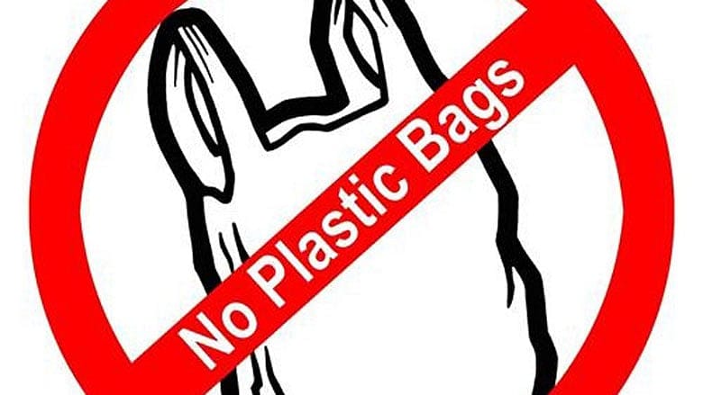 Big Y Banishing Plastic Bags