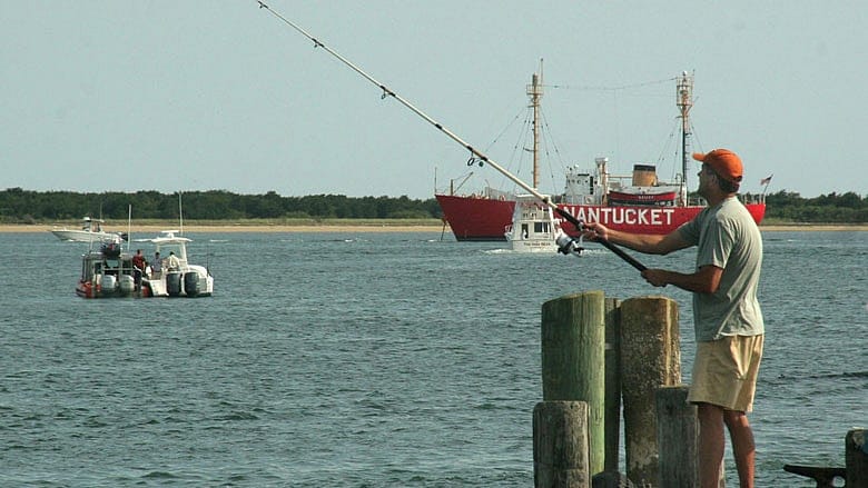 UMass awarded patent with implications for fish monitoring