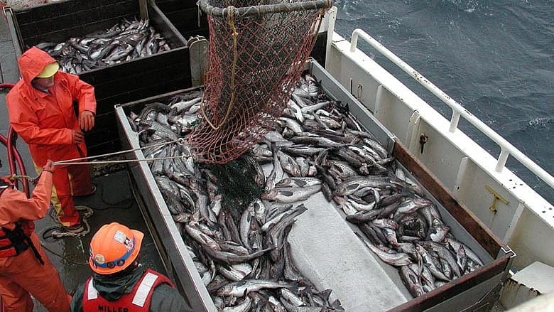 The federal government is making fishermen pay for on-board babysitters