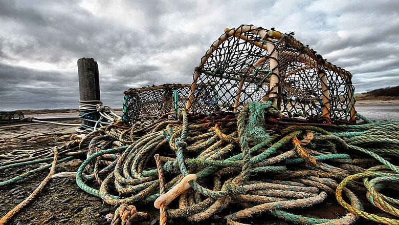 Mass. lobsterman press pols to ease access to restriced areas