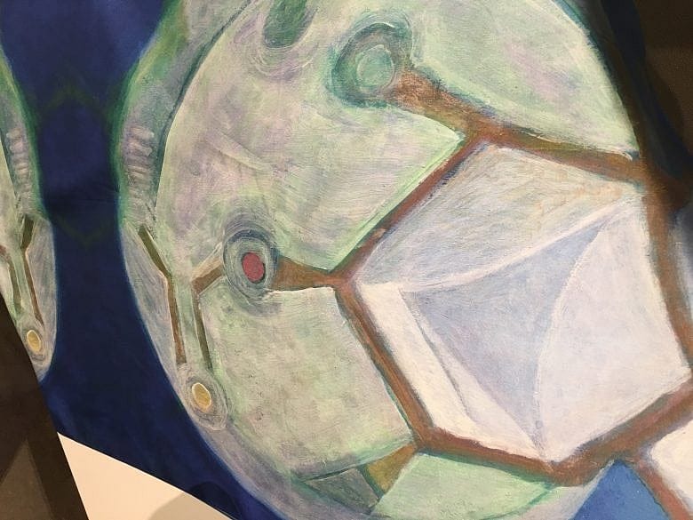 ‘World of WearableArt’ Show WOWs ‘Em At Peabody Essex Museum in Salem