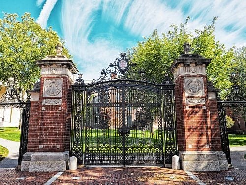 How To Read An Ivy League CYA Letter