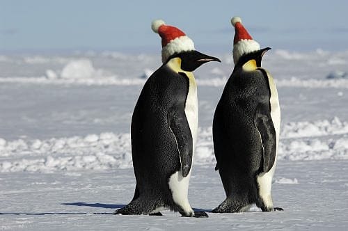 Canada: Santa’s Moving To South Pole Because of Global Warming