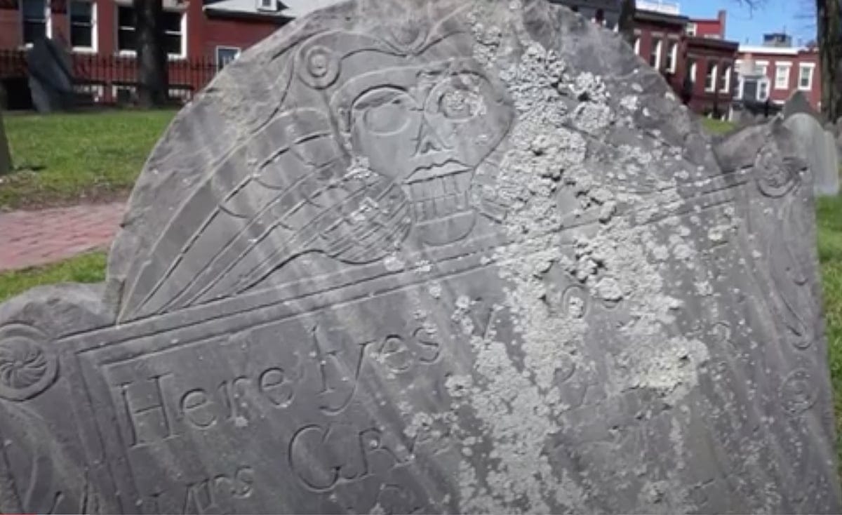 Couple In Quandary Over Missing Gravestone Found in Double Tree In Their Back Yard