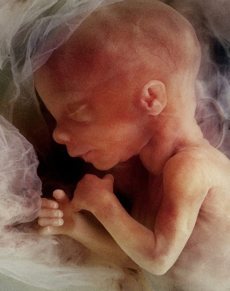 Roe v. Wade Movie Shows Where Good Intentions Can Lead