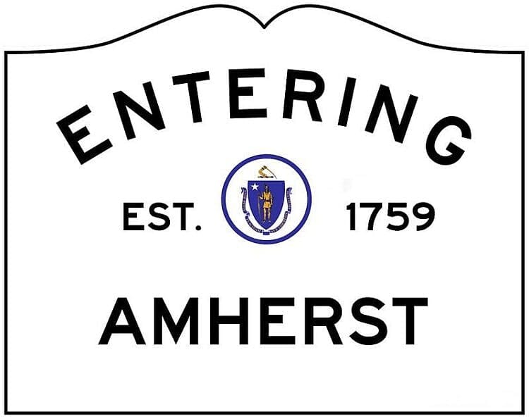 Call You What? Amherst Town Councilors Discuss Titles