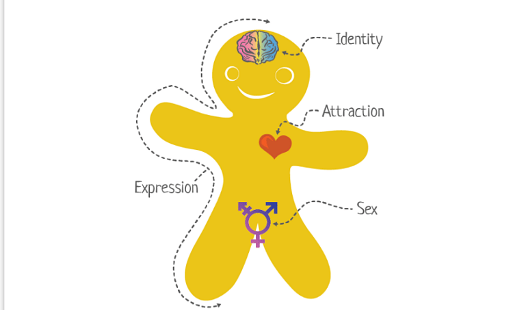 Uxbridge Using Genderbread Person To Teach 13-Year-Olds That There Are Infinite Genders