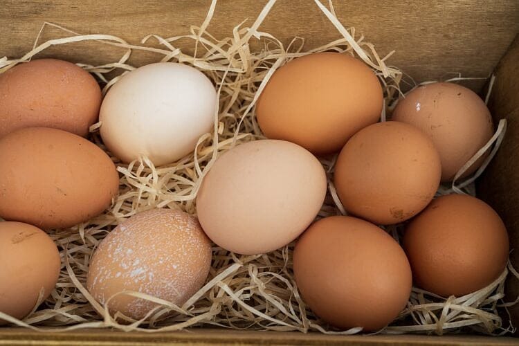 $5 Per Dozen Eggs May Soon Be A Reality In Massachusetts