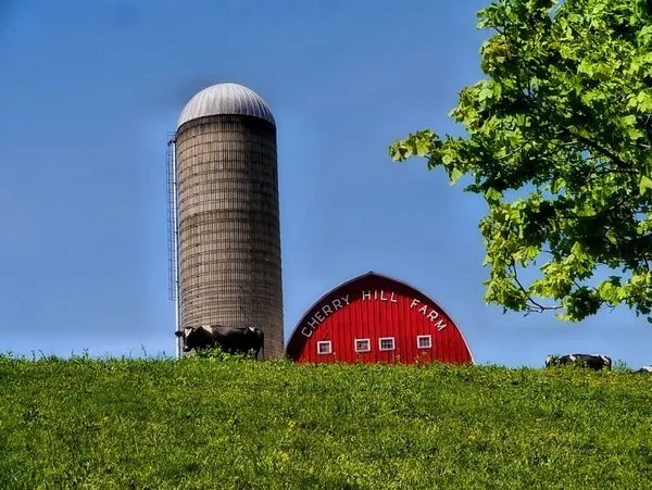 Farmers: Animal welfare ballot initiative would mean higher prices