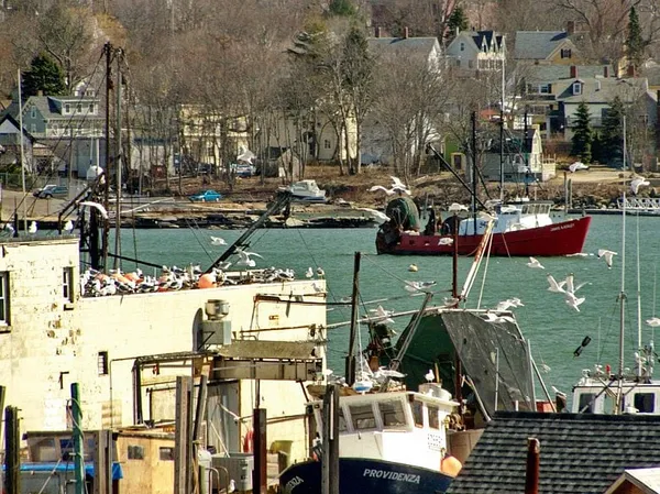 New England fishermen fight onerous regulations