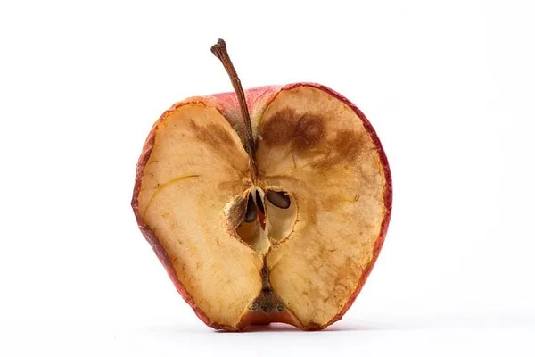 Rotten to the core: Big money pushes PARCC and Common Core