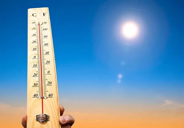 Mayor Walsh issues heat advisory