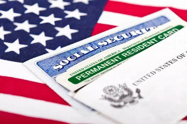 Immigration nation