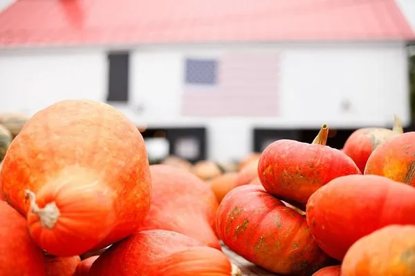 No shortage of fall activities in and around Boston