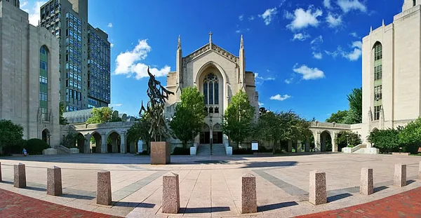 The lowering of higher education