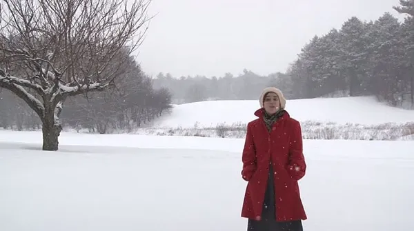 Longfellow’s ‘Snow-Flakes’ an inspiring substitute for snow (video)