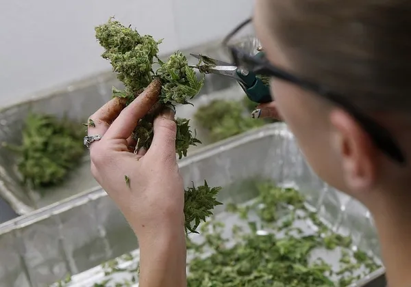 Pot legalization debated by Bay State lawmakers