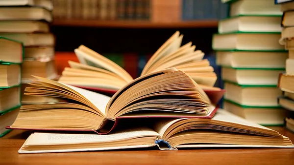 When to laugh at the ridiculous? Reviewing an atrocious book