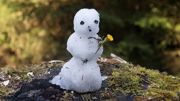 New England’s winter that wasn’t
