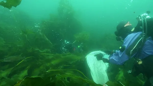 Obama won’t name Cashes Ledge an undersea monument