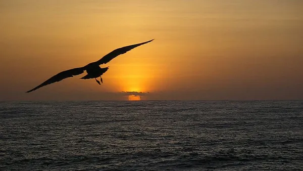 Poems: God’s beauty in nature