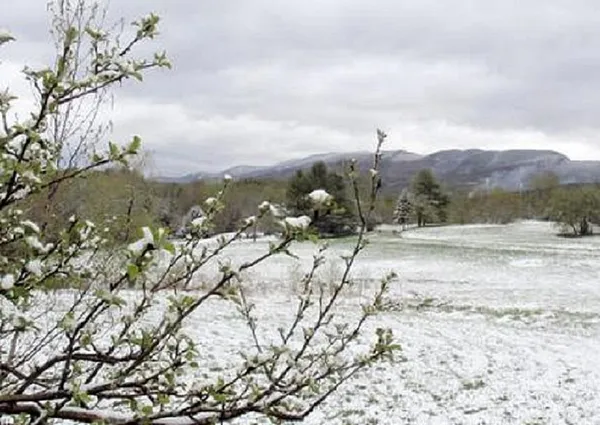 Snow coats parts of Northern New England, Massachusetts