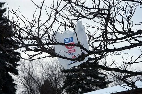 Framingham will join towns banning plastic bags