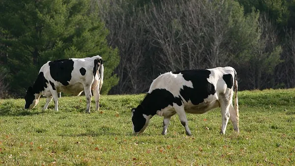 Judge approves $50M settlement to Northeast dairy farmers