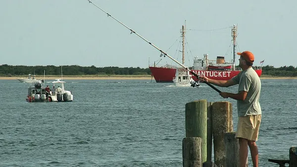 UMass awarded patent with implications for fish monitoring