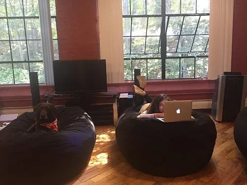 What It’s REALLY Like Working For An Entrepreneur (Hint: Buckle Up)