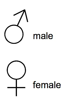 ‘MeToo’ Hits Maine Legislature