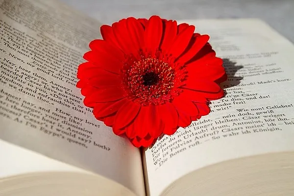 Should Local Taxpayers Pay for an Incoherent English Curriculum?