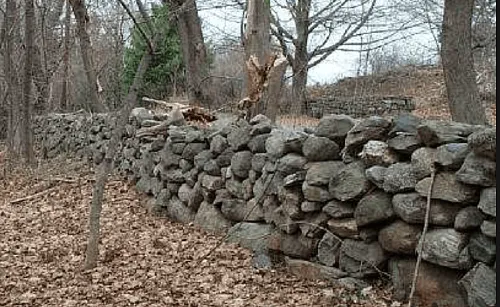 Irreplaceable Old Stone Walls in Peril in New England
