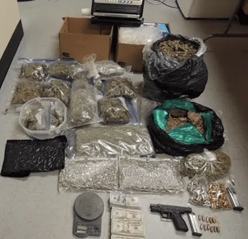 Mattapan Man Caught With 44 Pounds of Marijuana, Cops Say