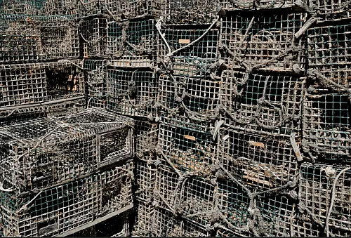 PETA Renews Request for Roadside Memorial To Lobsters