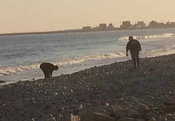 These People Are Serious About Their Beach Rocks