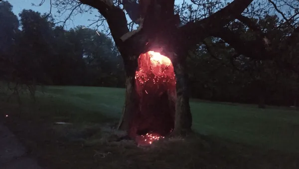 Lightning Sets Golf Course Tree Aglow