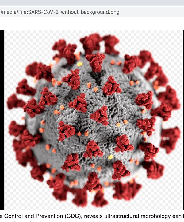 Five Ways To Negate Coronavirus’s Impact They’re Not Emphasizing Enough