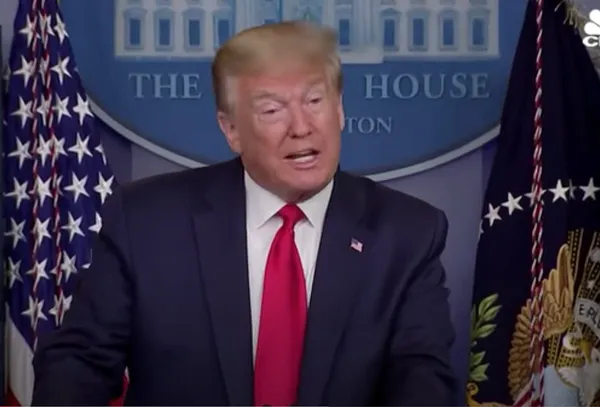 Why Trump Lost