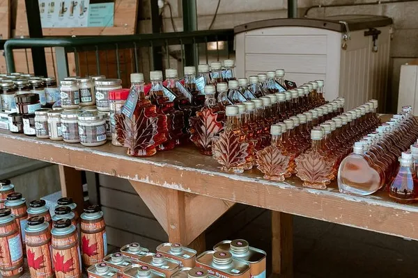 Vermont Saw Record Maple Syrup Production Last Year