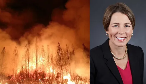 Massachusetts Attorney General Was Against Forest Fires Before She Was For Them