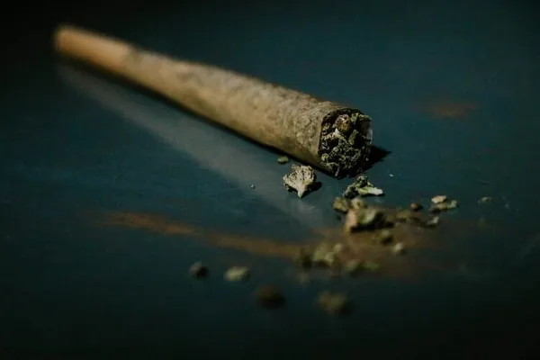 Boston City Councilors To Discuss Plan To Diversify Marijuana Business Model