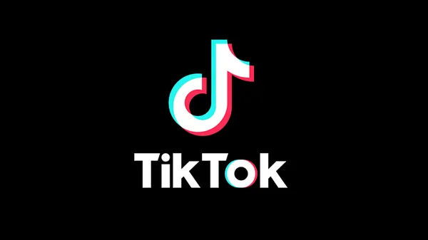 Governors’ TikTok Bans Make Sense, Cybersecurity Experts Say