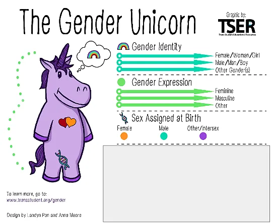 Arlington Public Schools Using ‘Gender Unicorn’ To Teach Fourth-Graders There Are Infinite Genders