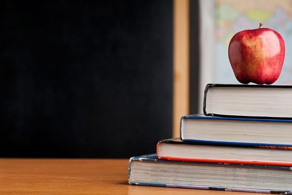 Sue, vote, legislate? Charter schools’ newest challenge