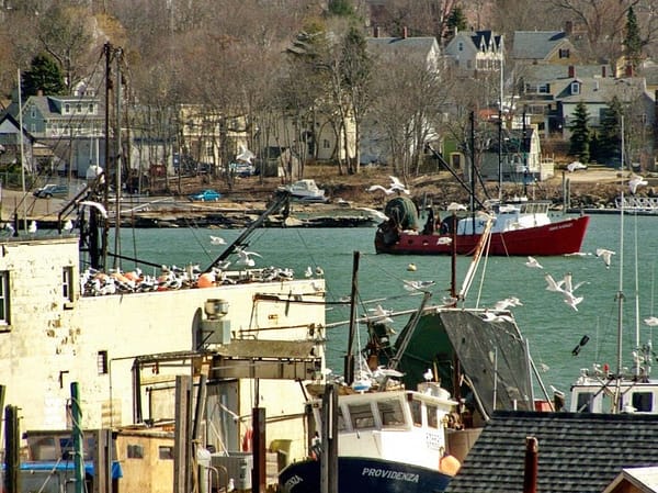 New England fishermen fight onerous regulations
